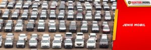 Ada Banyak Jenis Mobil yang Berbeda Beda Konsumsi Olinya