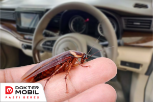 cara menghilangkan kecoa dalam mobil