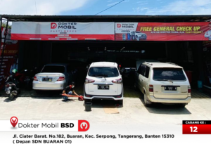 12 BSD