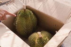 5 Tips Cara Bawa Durian di Mobil Agar Tidak Bau