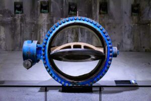 Apa Fungsi Intake Valve pada Mobil