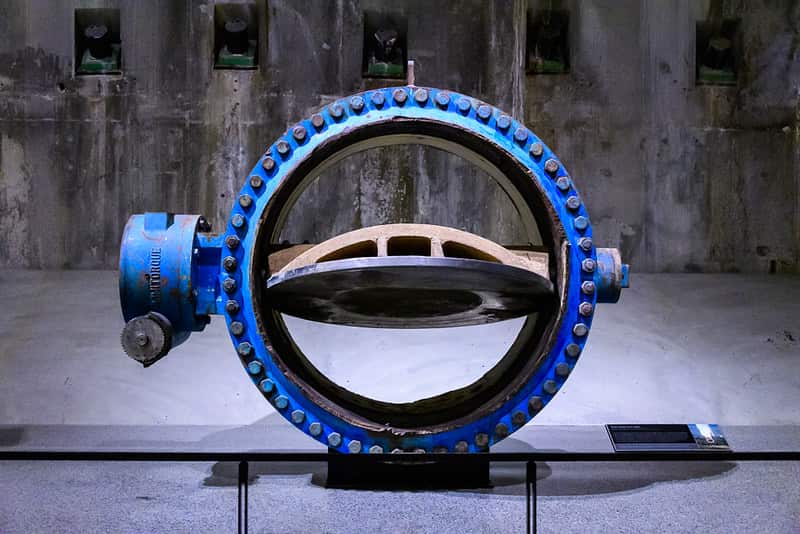 Apa Fungsi Intake Valve pada Mobil