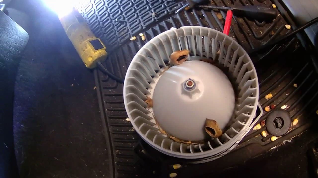 Penyebab Blower AC Mobil Kotor