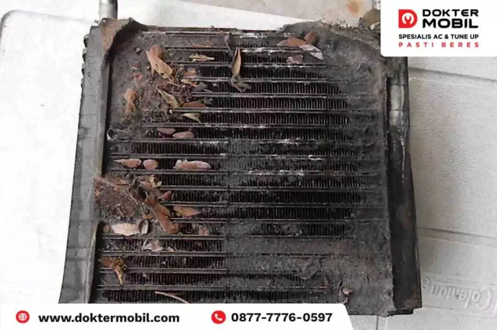 Inilah Cara Basmi Masalah Evaporator AC Mobil Banyak Semut