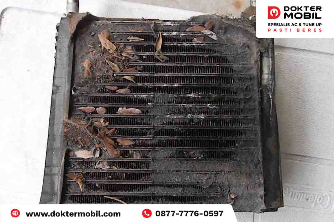 Inilah Cara Basmi Masalah Evaporator AC Mobil Banyak Semut