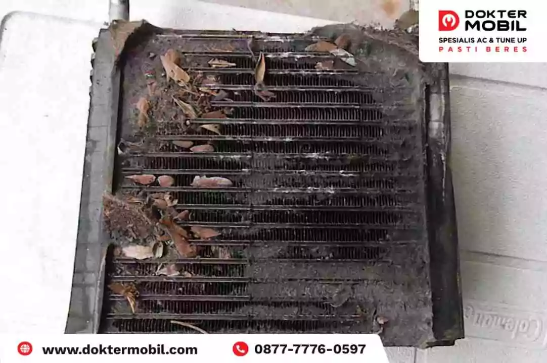 Inilah Cara Basmi Masalah Evaporator AC Mobil Banyak Semut