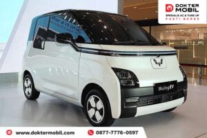 Skema Regulasi Insentif Mobil Listrik