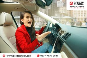 tikus masuk AC mobil