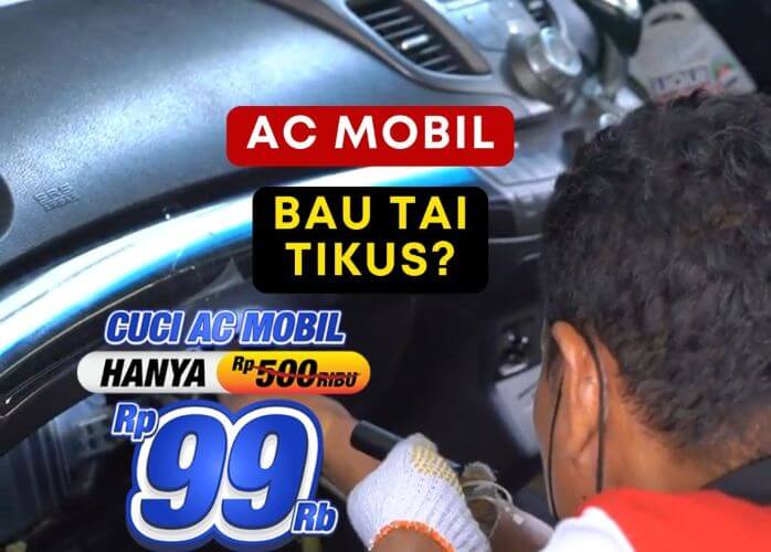ac mobil bau tai tikus