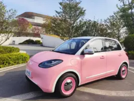 Wuling Binguo EV